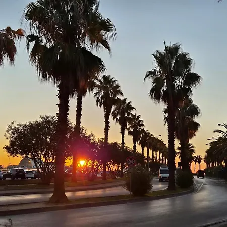 Bologna San Benedetto del Tronto